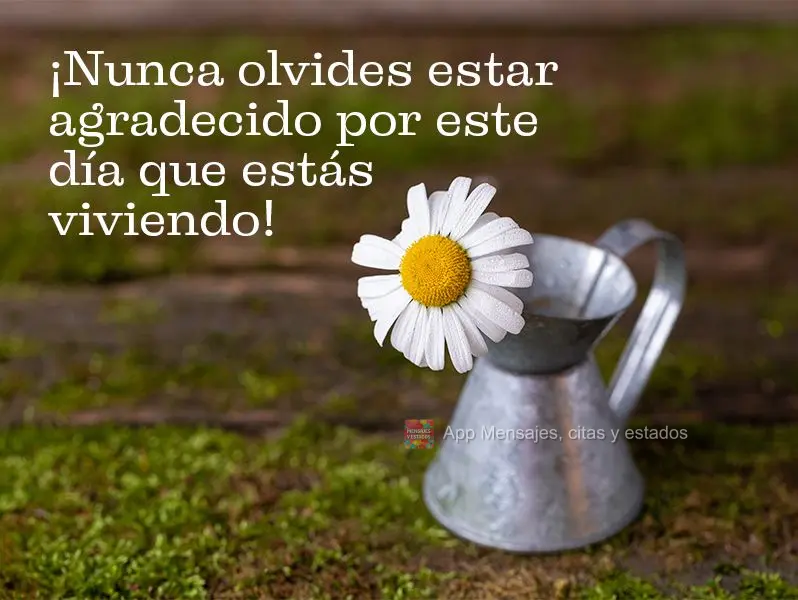 ¡Nunca olvides estar agradecido por este día que estás viviendo!