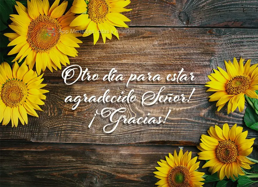 Otro día para estar agradecido Señor! ¡Gracias!