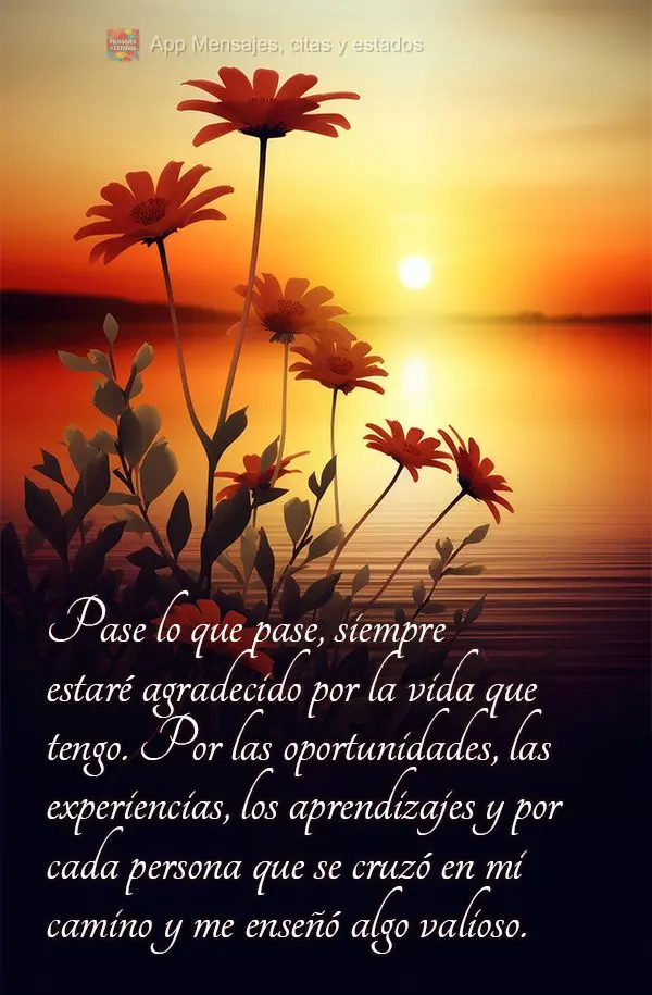 Pase lo que pase, siempre estaré agradecido por la vida que tengo. Por las oportunidades, las experiencias, los aprendizajes y por cada persona que se c...