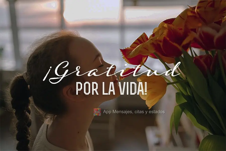 ¡Gratitud por la vida!