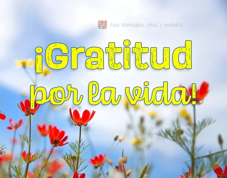 ¡Gratitud por la vida!