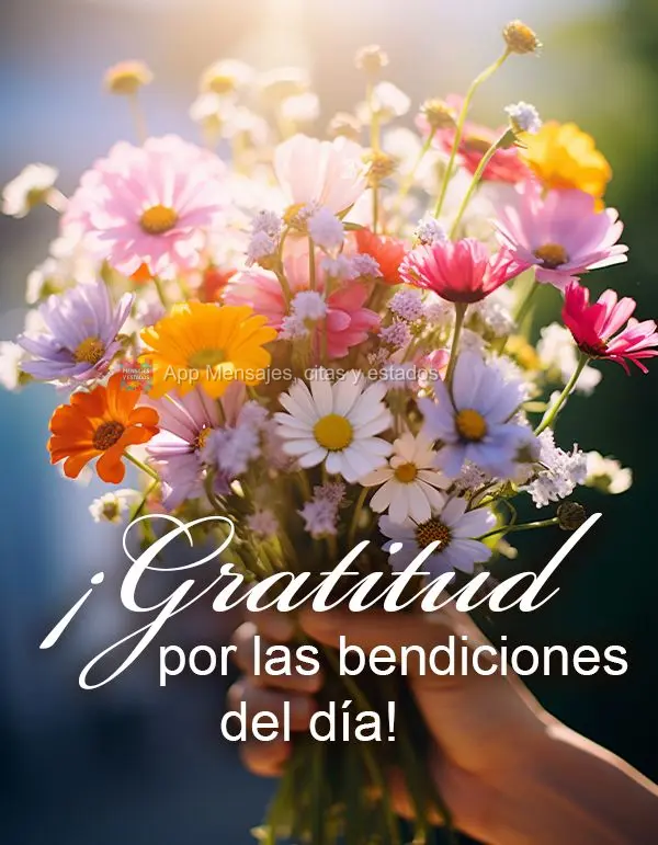 ¡Gratitud por las bendiciones del día!