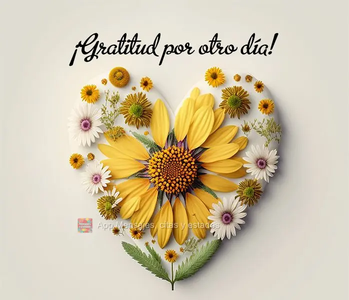 ¡Gratitud por otro día!