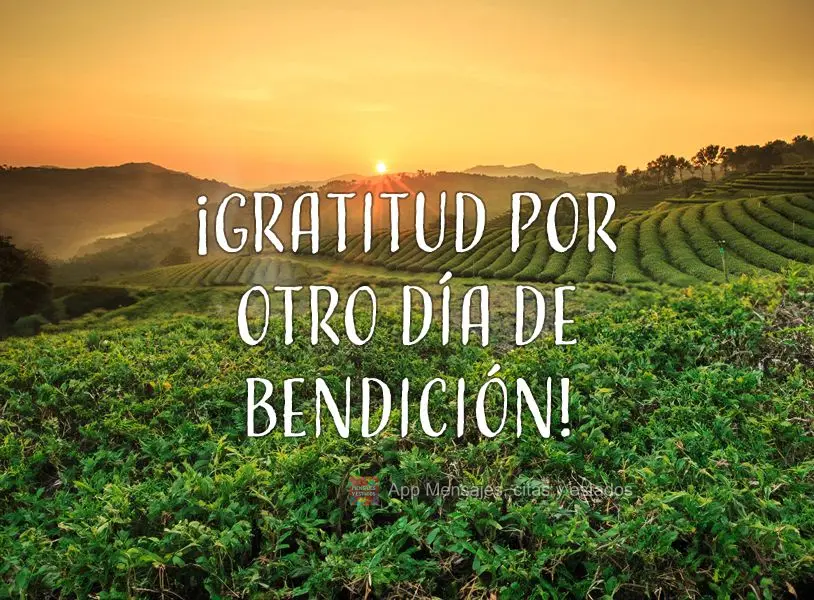 ¡Gratitud por otro día de bendición!