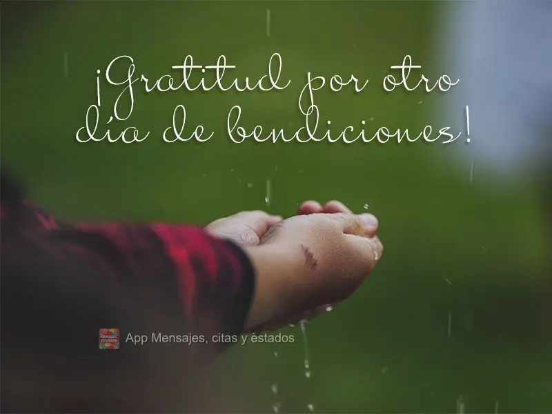 ¡Gratitud por otro día de bendiciones!