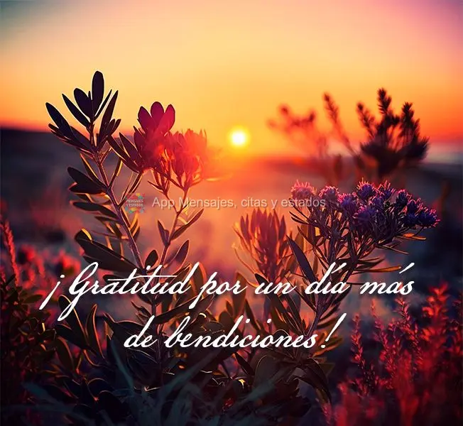 ¡Gratitud por un día más de bendiciones!