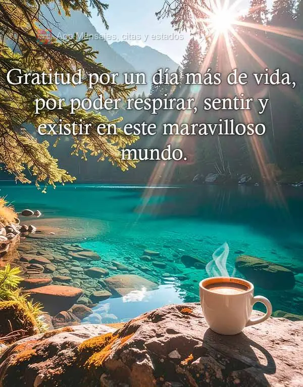 Gratitud por un día más de vida, por poder respirar, sentir y existir en este maravilloso mundo.