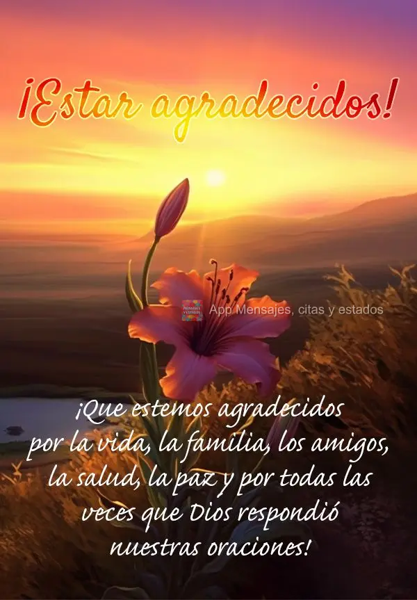 ¡Que estemos agradecidos por la vida, la familia, los amigos, la salud, la paz y por todas las veces que Dios respondió nuestras oraciones! ¡Estar agr...