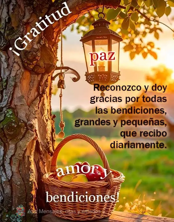 Reconozco y doy gracias por todas las bendiciones, grandes y pequeñas, que recibo diariamente. ¡Gratitud, paz, amor y bendiciones!