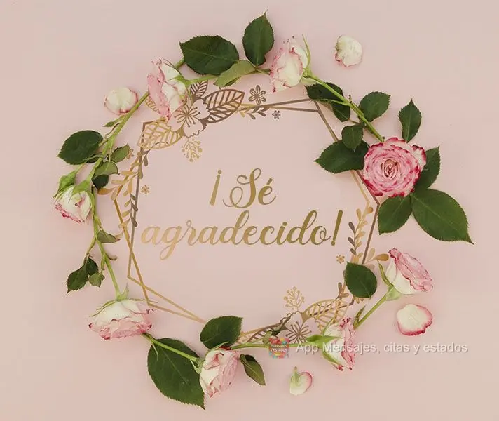 ¡Sé agradecido!