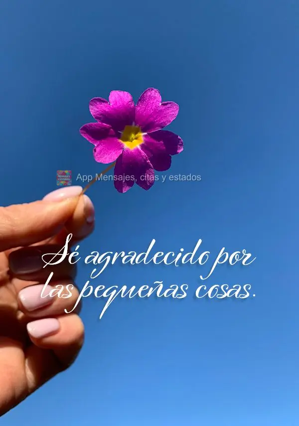 Sé agradecido por las pequeñas cosas.