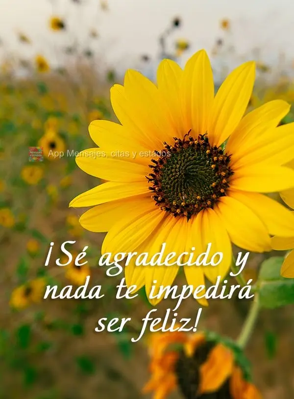 ¡Sé agradecido y nada te impedirá ser feliz!