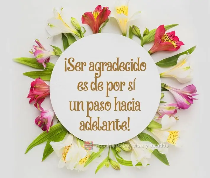 ¡Ser agradecido es de por sí un paso hacia adelante!