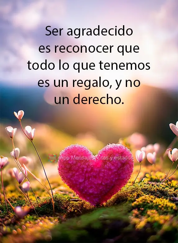 Ser agradecido es reconocer que todo lo que tenemos es un regalo, y no un derecho.