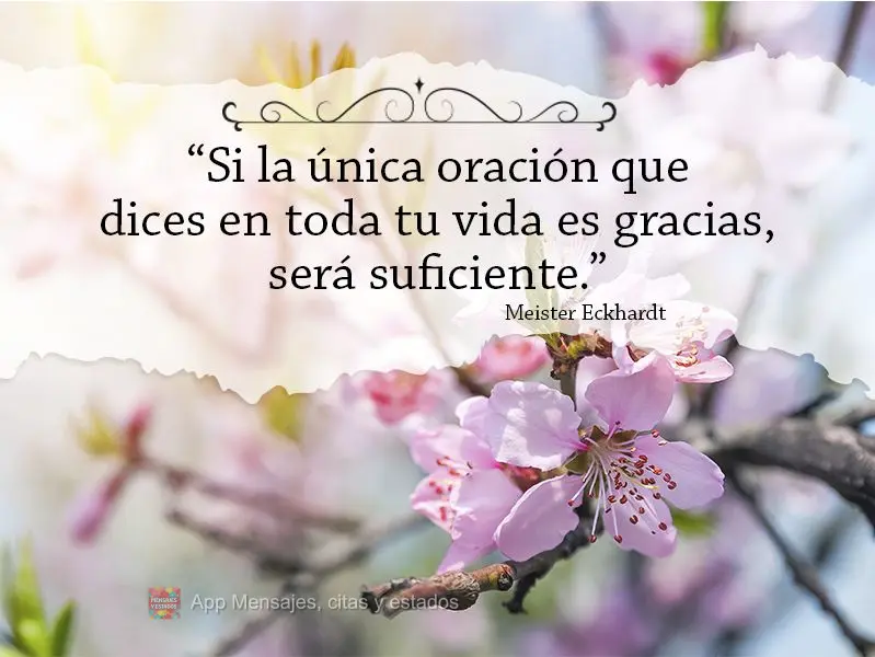 “Si la única oración que dices en toda tu vida es gracias, será suficiente”. Meister Eckhardt