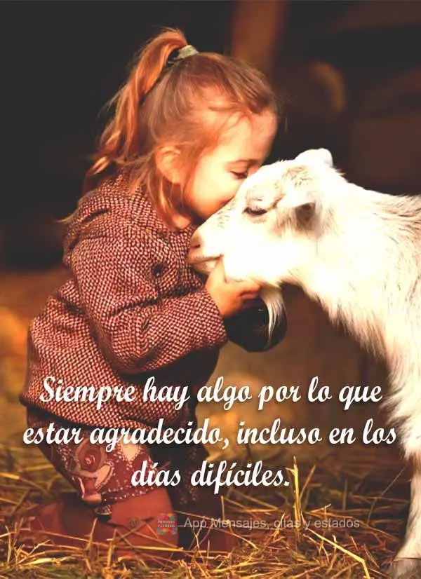 Siempre hay algo por lo que estar agradecido, incluso en los días difíciles.