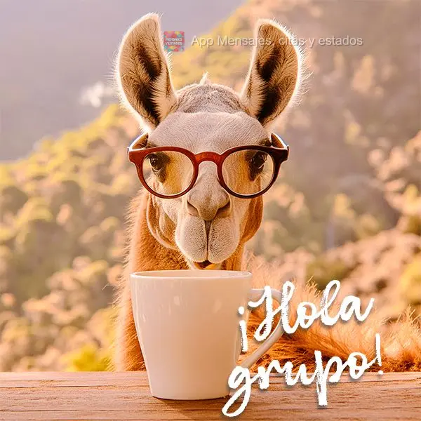 ¡Hola grupo!