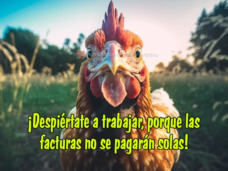 ¡Despiértate a trabajar, porque las facturas no se pagarán solas!