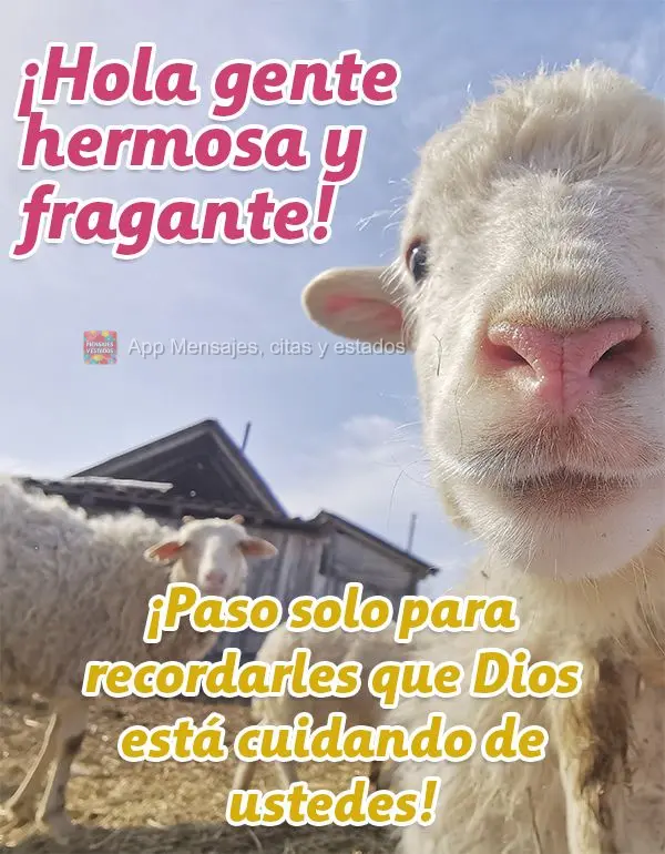 ¡Hola gente hermosa y fragante! ¡Paso solo para recordarles que Dios está cuidando de ustedes!