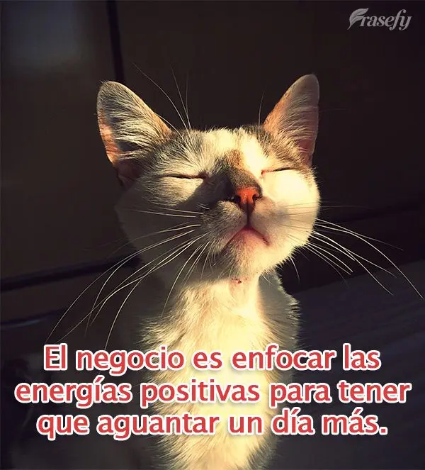 O negócio é concentrar as energias positivas pra ter que aguentar mais um dia.
