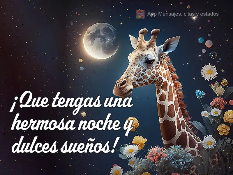¡Que tengas una hermosa noche y dulces sueños!