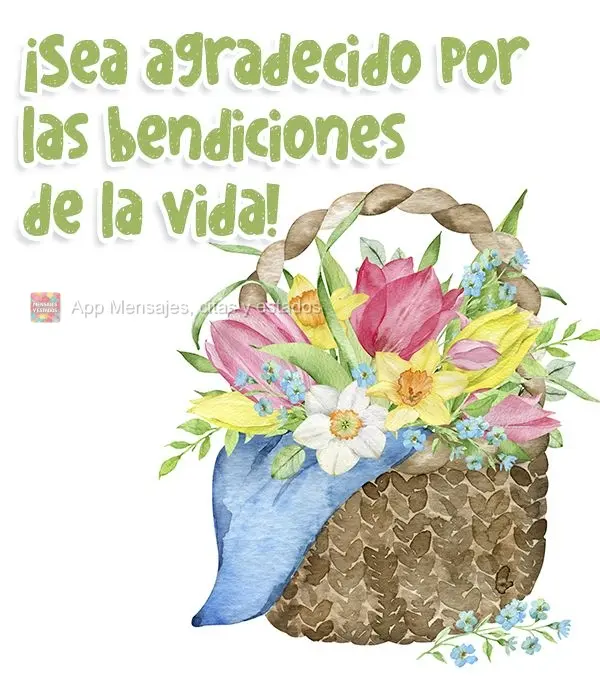 ¡Sea agradecido por las bendiciones de la vida!