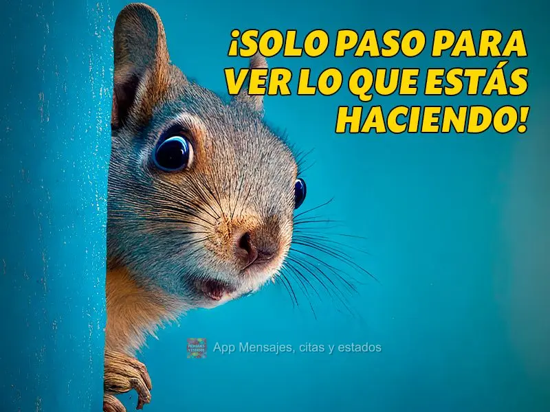 ¡Solo paso para ver lo que estás haciendo!