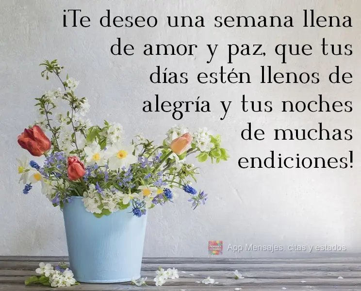 ¡Te deseo una semana llena de amor y paz, que tus días estén llenos de alegría y tus noches de muchas bendiciones!