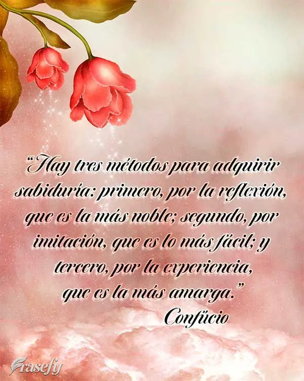 “Hay tres métodos para adquirir sabiduría: primero, por la reflexión, que es la más noble; segundo, por imitación, que es lo más fácil; y tercer...