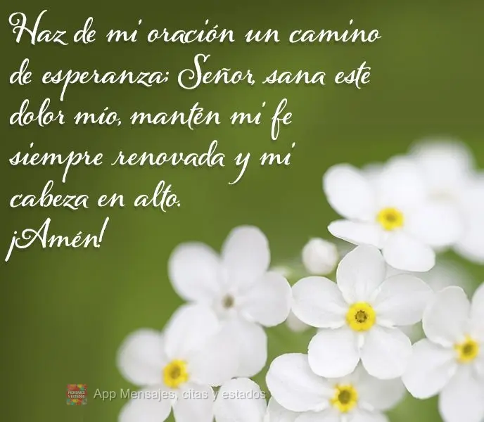 Haz de mi oración un camino de esperanza; Señor, sana este dolor mío, mantén mi fe siempre renovada y mi cabeza en alto. ¡Amén!