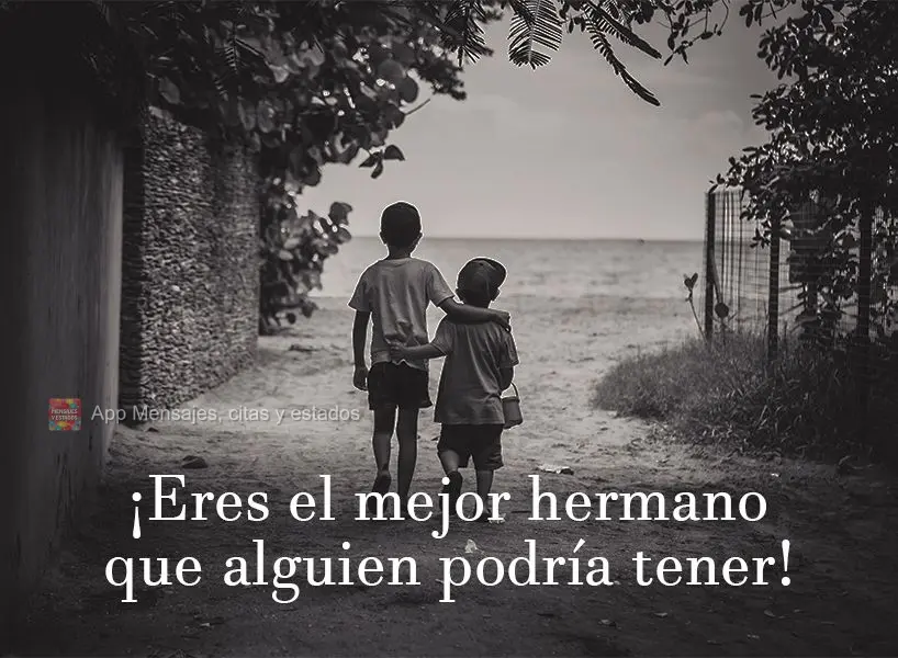 ¡Eres el mejor hermano que alguien podría tener!