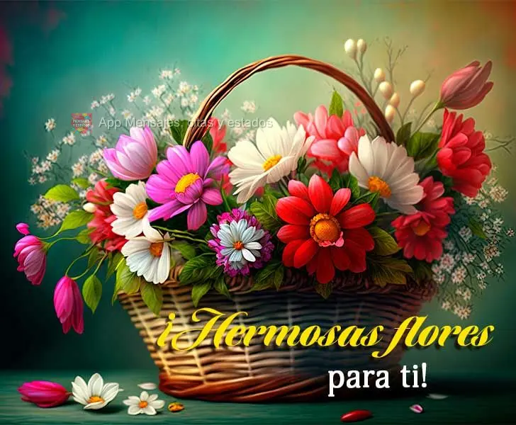 ¡Hermosas flores para ti!