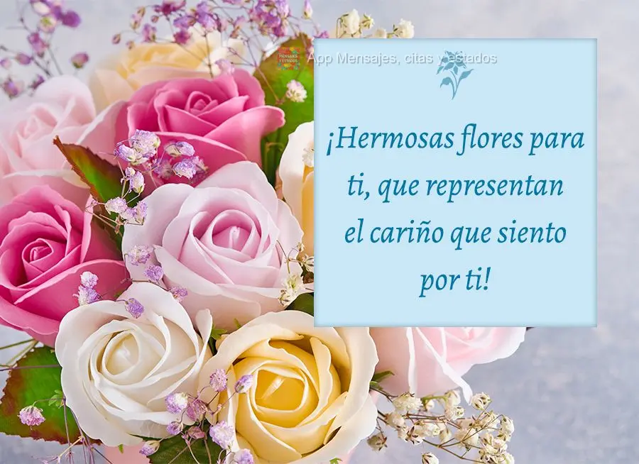 ¡Hermosas flores para ti, que representan el cariño que siento por ti!