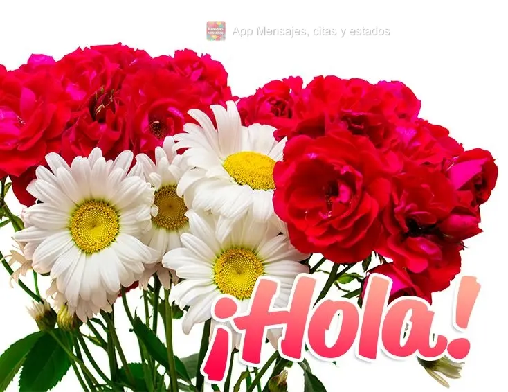 ¡Hola!