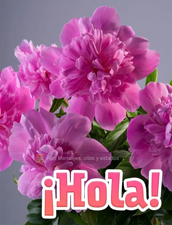¡Hola!