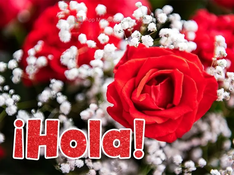 ¡Hola!