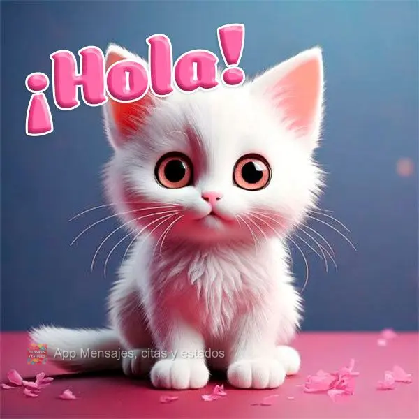 ¡Hola!
