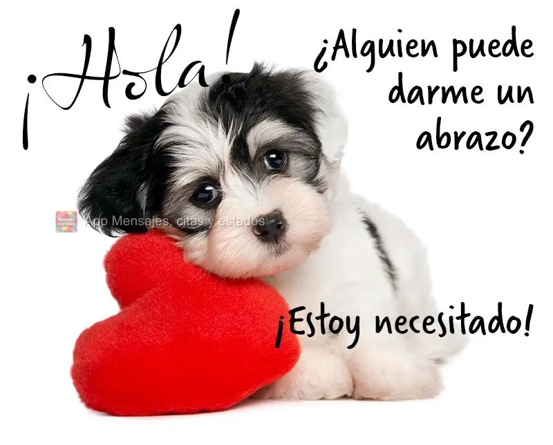 ¡Hola! ¿Alguien puede darme un abrazo? ¡Estoy necesitado!