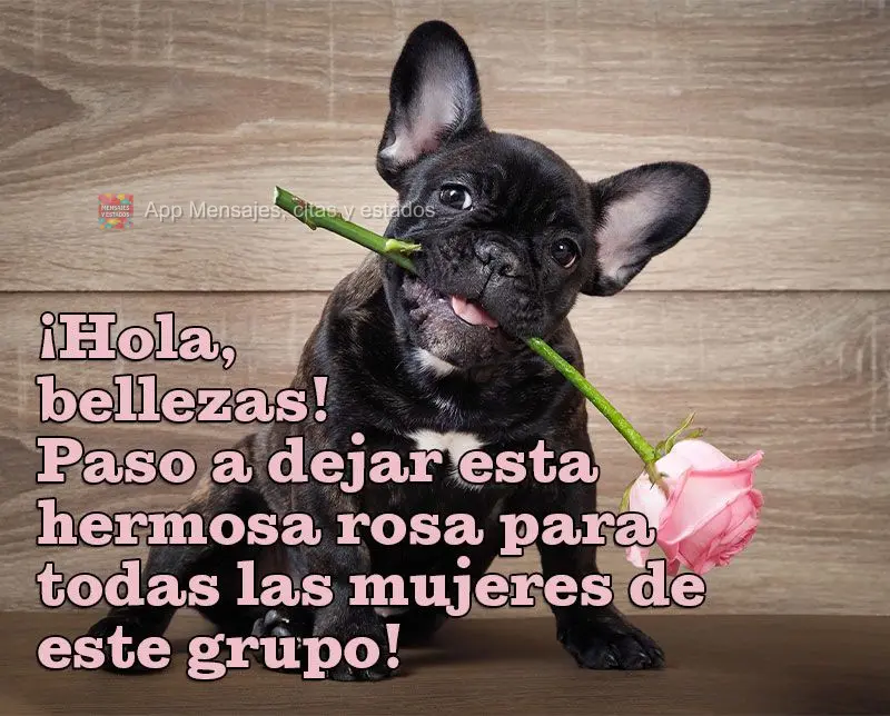 ¡Hola, bellezas! Paso a dejar esta hermosa rosa para todas las mujeres de este grupo!