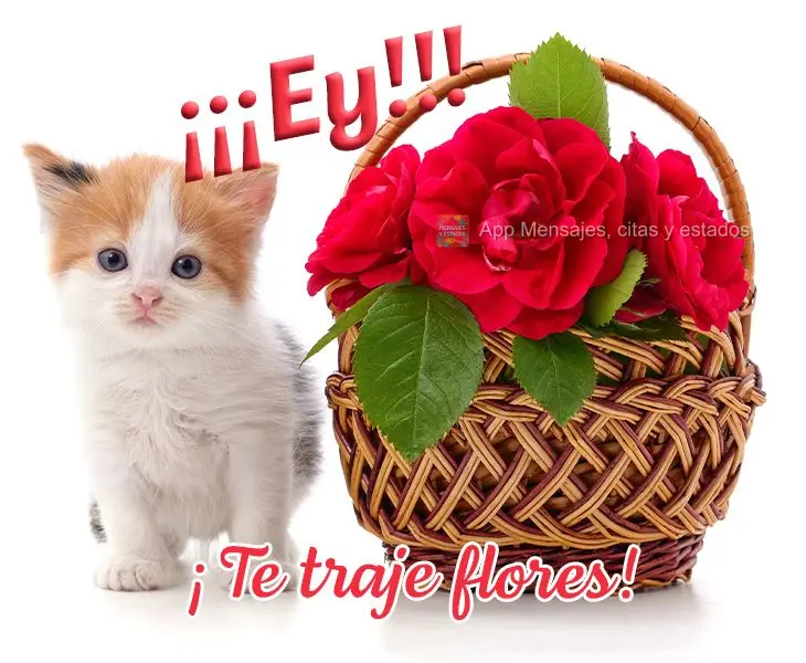 ¡¡¡Ey!!! ¡Te traje flores!