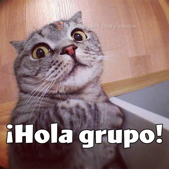 ¡Hola grupo!