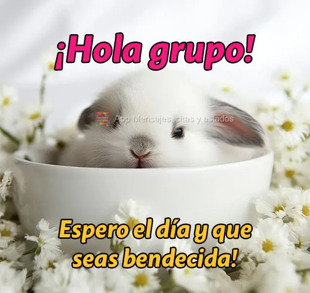 ¡Hola grupo! Espero el día y que seas bendecida!