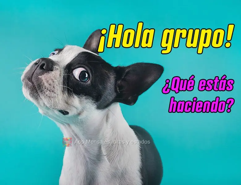 ¡Hola grupo! ¿Qué estás haciendo?
