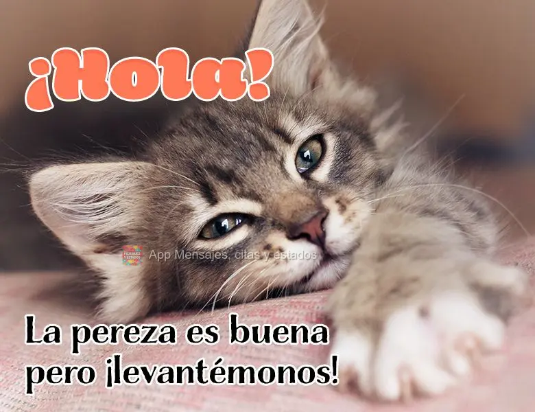¡Hola! La pereza es buena pero ¡levantémonos!