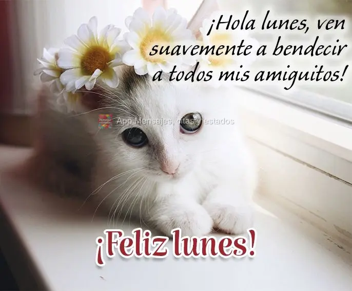 ¡Hola lunes, ven suavemente a bendecir a todos mis amiguitos! ¡Feliz lunes!
