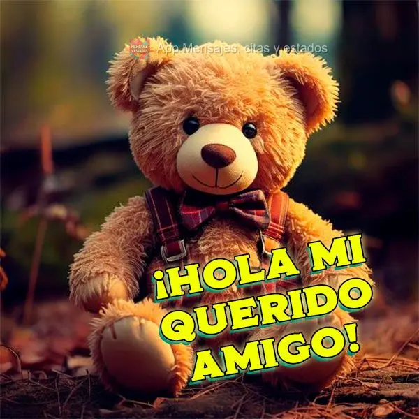 ¡Hola mi querido amigo!