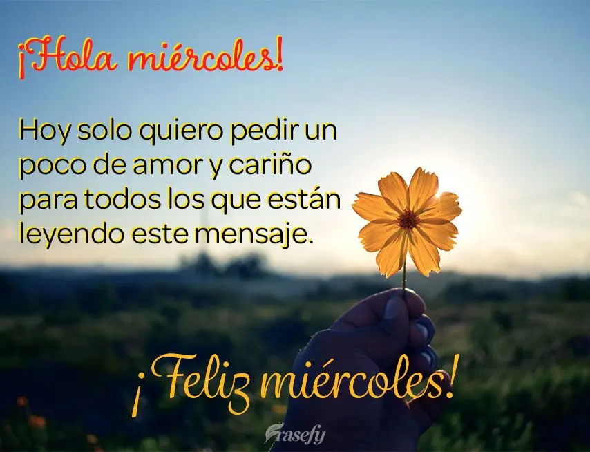 ¡Hola miércoles! Hoy solo quiero pedir un poco de amor y cariño para todos los que están leyendo este mensaje. ¡Feliz miércoles!