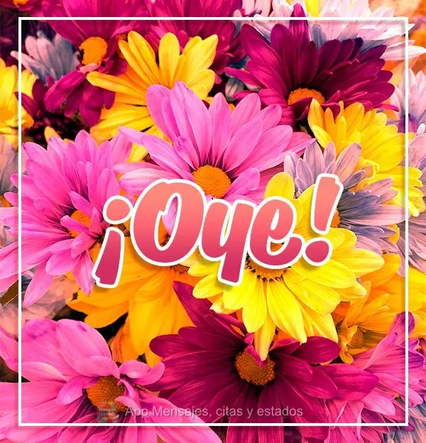¡Oye!