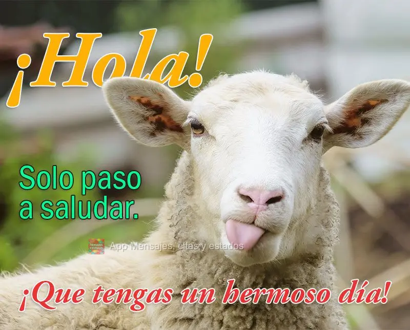 ¡Hola! Solo paso a saludar! ¡Que tengas un hermoso día!