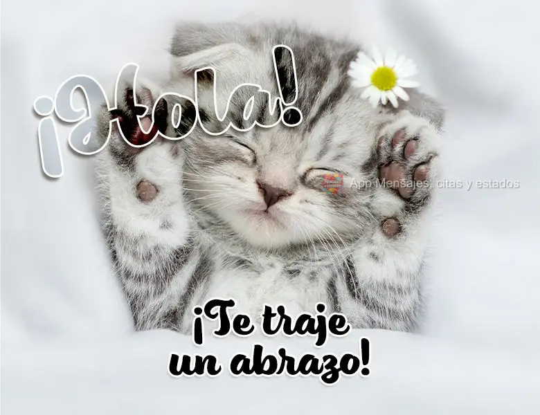 ¡Hola! ¡Te traje un abrazo!